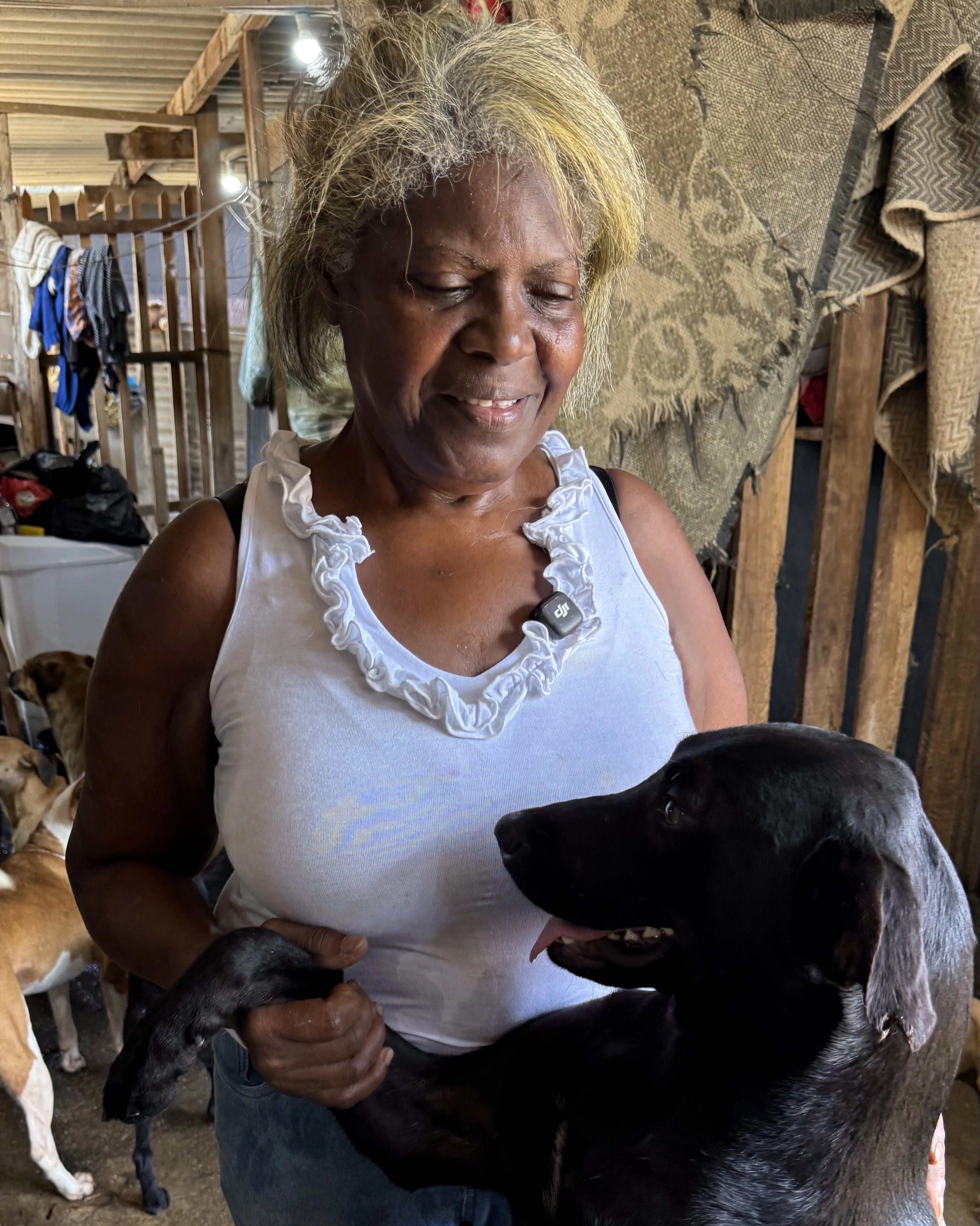Cuidadora com cão preto no colo